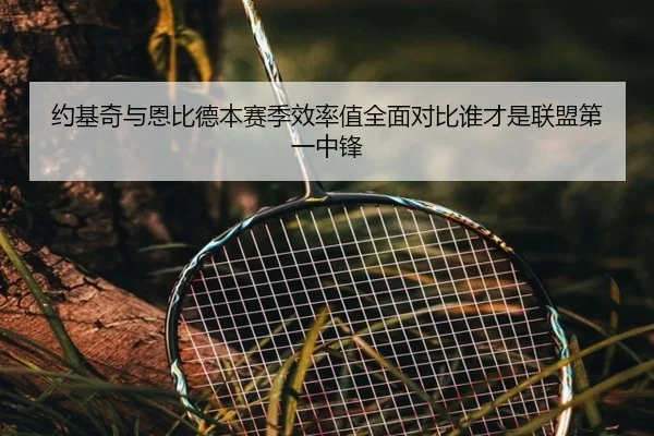 约基奇与恩比德本赛季效率值全面对比谁才是联盟第一中锋