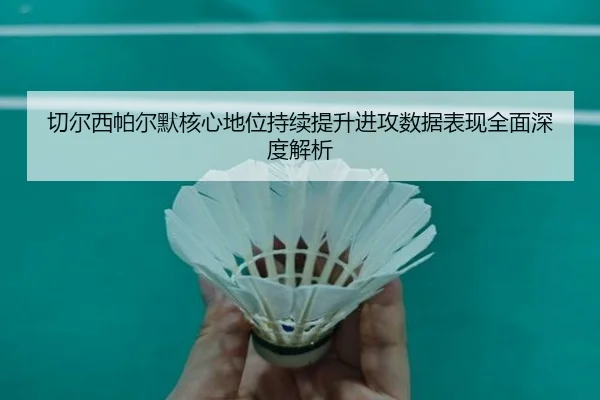 切尔西帕尔默核心地位持续提升进攻数据表现全面深度解析