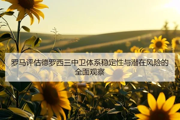 罗马评估德罗西三中卫体系稳定性与潜在风险的全面观察